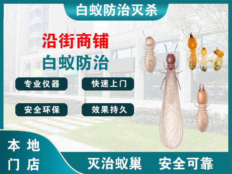 浦东新区沿街商铺白蚁防治
