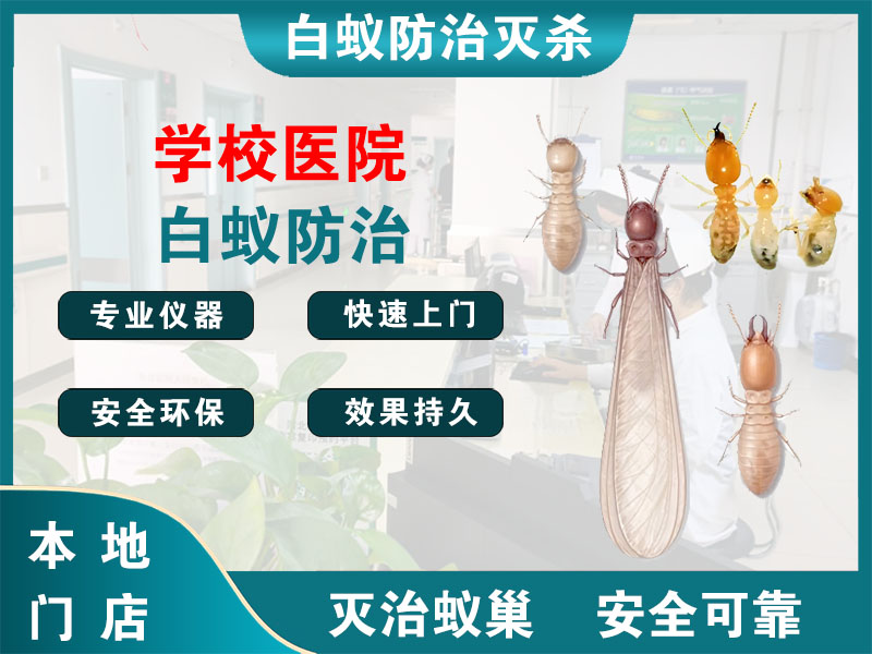 浦东新区学校医院白蚁防治