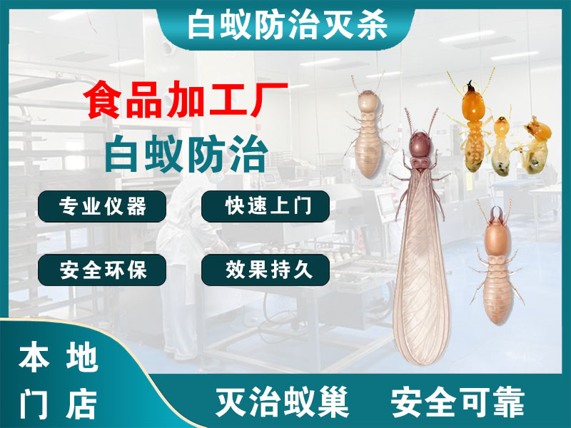 浦东新区食品加工厂白蚁防治