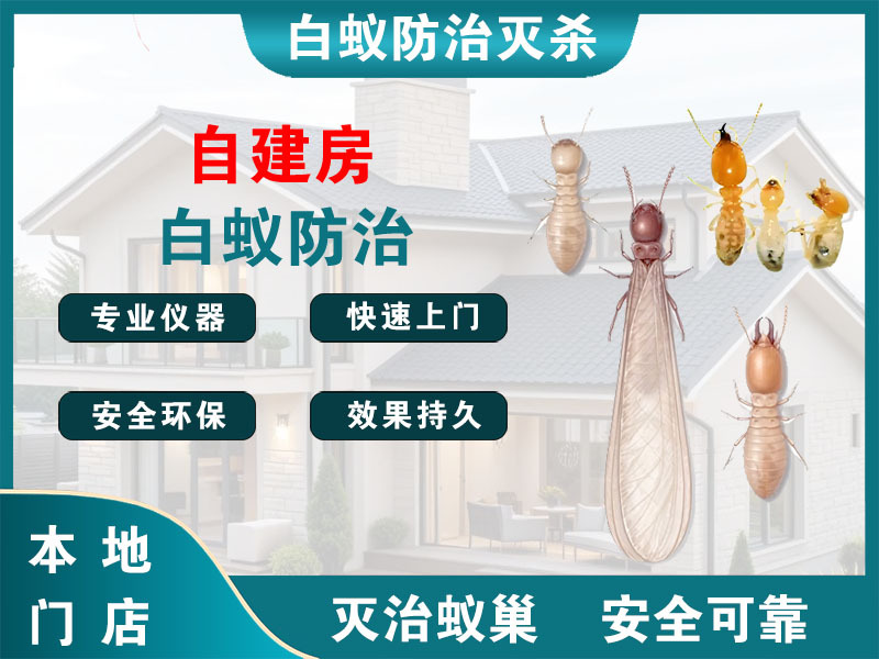 浦东新区自建房白蚁防治
