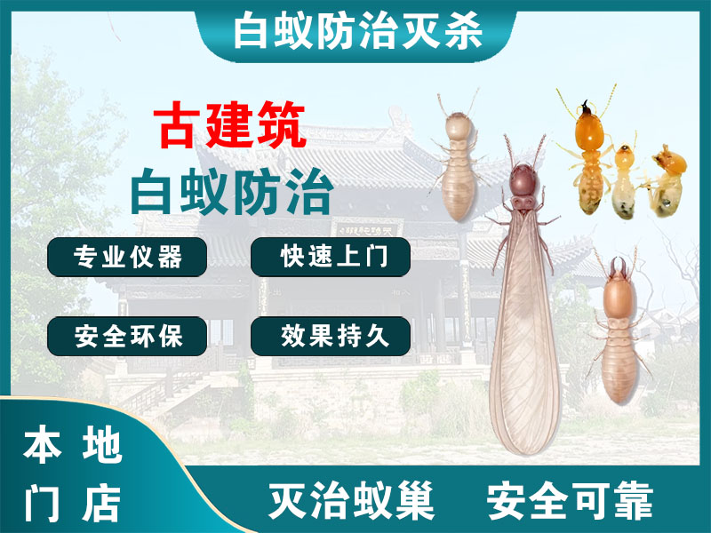 浦东新区古建筑白蚁防治