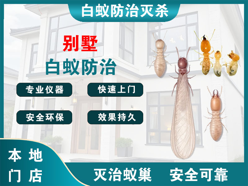 浦东新区别墅白蚁防治