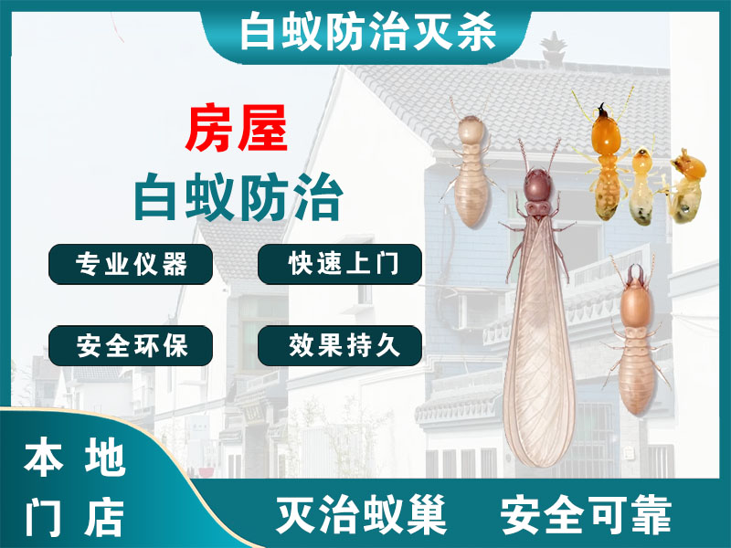 浦东新区房屋白蚁防治